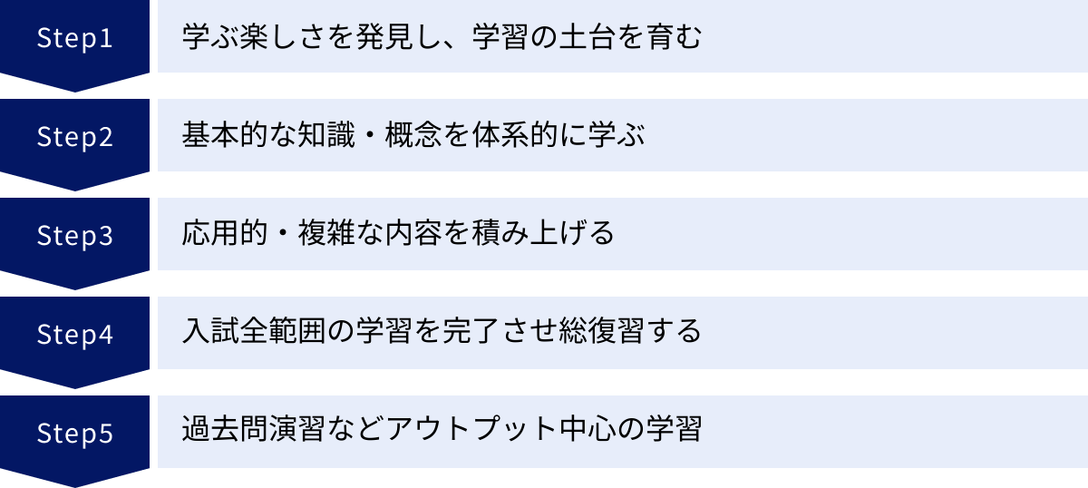 学ぶ楽しさを発見し、学習の土台を育む、基本的な知識・概念を体系的に学ぶ、応用的・複雑な内容を積み上げる、入試全範囲の学習を完了させ総復習する、過去問演習などアウトプット中心の学習