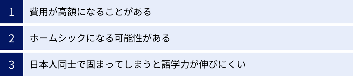 費用が高額になることがある、ホームシックになる可能性がある、日本人同士で固まってしまうと語学力が伸びにくい