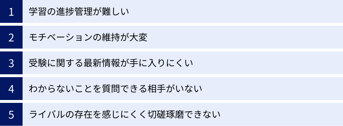 学習の進捗管理が難しい、モチベーションの維持が大変、受験に関する最新情報が手に入りにくい、わからないことを質問できる相手がいない、ライバルの存在を感じにくく切磋琢磨できない